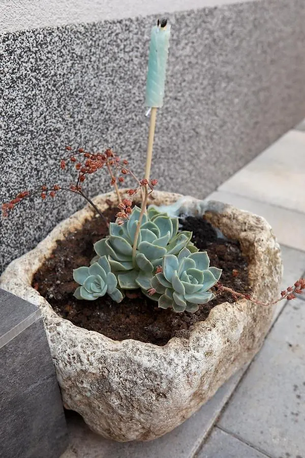 Apartment Turtles Trogir
